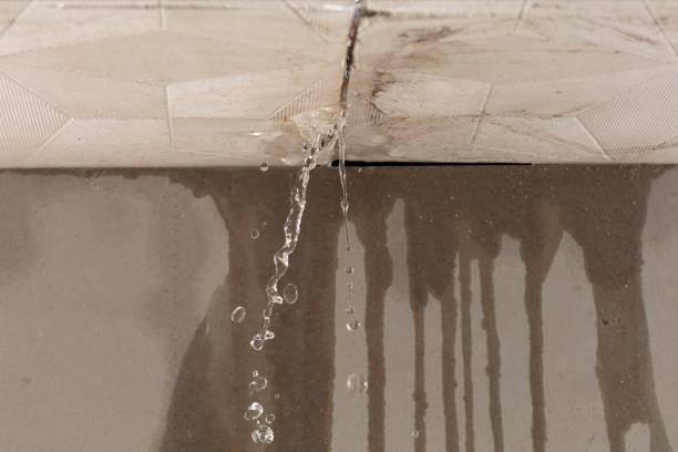Professional Water Damage Repair technician working in Parker, WA